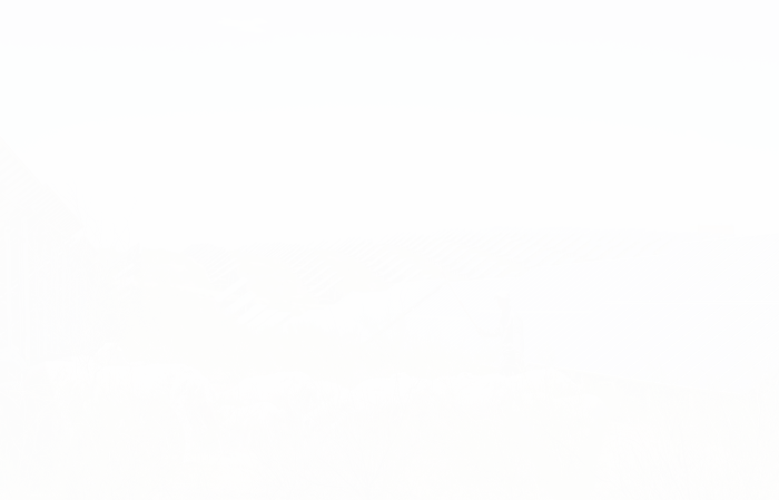 ŵ88(й)